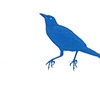 Blue_bird