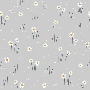 daisy_flowers_sp