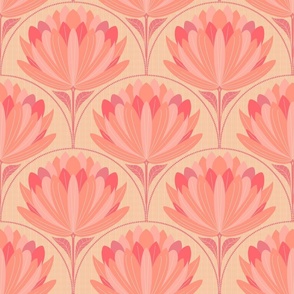 Peach lotus