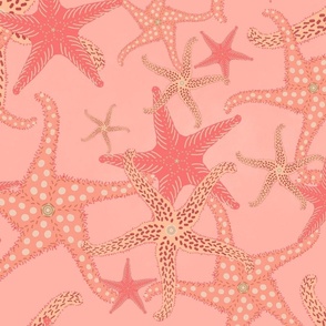sea stars pantone