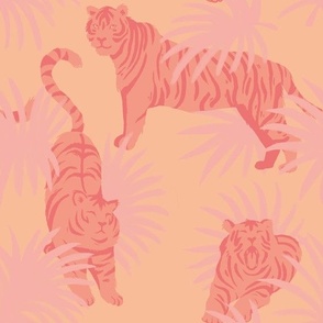 Peachy tigers in pink