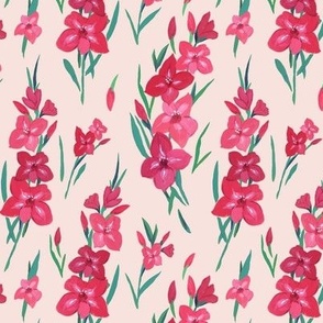 Gladiolus pink-teal small