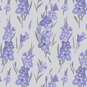 Gladiolus purple-gray small