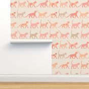 Rows of Peach Color Cats