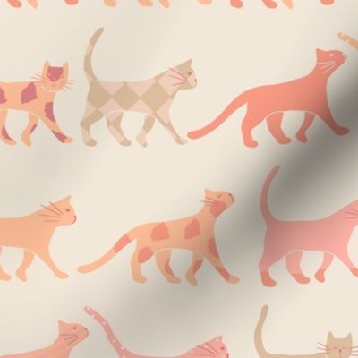 Rows of Peach Color Cats