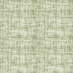 Light Green Linen Texture - Small - Rustic Cabincore Masculine Aesthetic Textured Boy Print  Mint Fern Celery Green