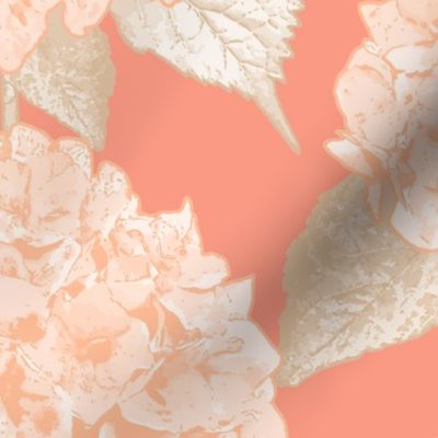 (L) Peach Fuzz Serene Hydrangea on Peach Pink - Pantone Pallete 2024
