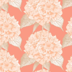 (L) Peach Fuzz Serene Hydrangea on Peach Pink - Pantone Pallete 2024