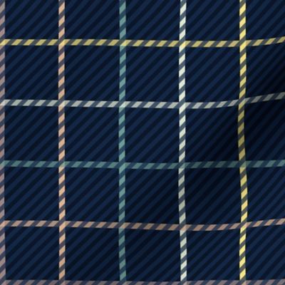 Tattersall Navy Blue small squares twill texture