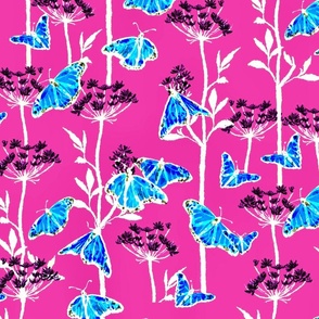 Queen Anne's Lace and Butterflies, fuchsia and blue