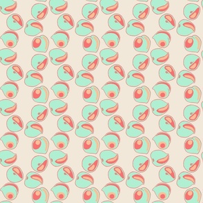 pastel peaches creamy rose background