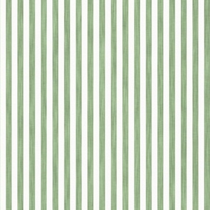 Tropical Stripe - Green & White