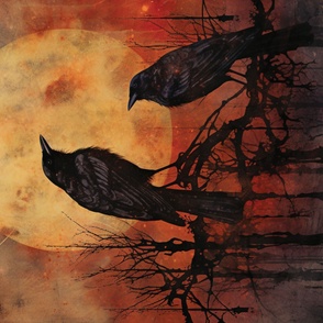36x54 blanket abstract crows