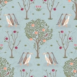 Small Homestead Orchard with Runner Ducks on Country Blue