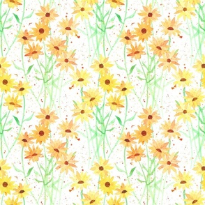 Yellow Cornflowers