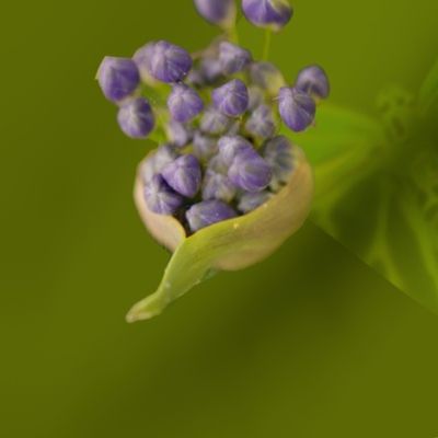 Butterfly stamp with flowers