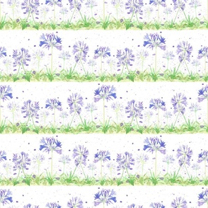 Lilac Peterpan Flowers