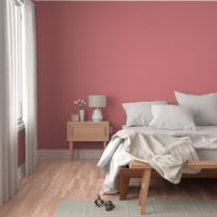 Solid plain Coral Pink / Peach Blosson, Pantone 16-1626 TCX, #DE8286 / Peach Blossom // Peach Plethora palette