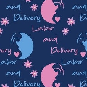labor and delivery pregnancy silhouette on blue large 