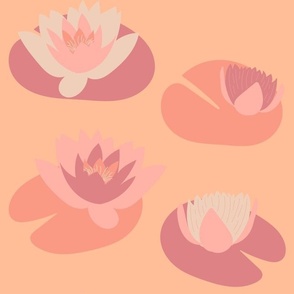 Peach Fuzz Water Lilies Small Scale 