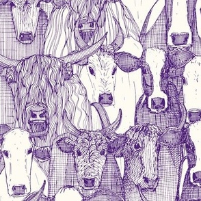 just cattle deep violet custom