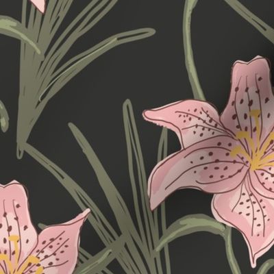 (M) Light Pink Lily Wildflower Harmony  on Black
