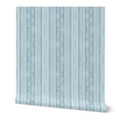 coastal stripe pastel blue