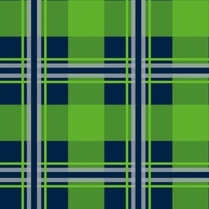 Small Plaid nautical blue 002244, lime green 69be28, silver gray a5acaf