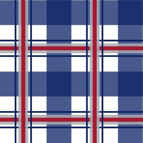 Small Plaid Dark Blue 0b2265, red a71930, silver gray a5acaf