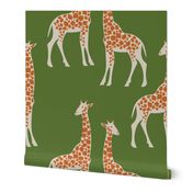 XL Giraffes on Olive Green Background