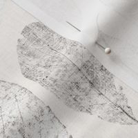 Dried Magnolia Leaves in greyscale with a hint of beige on off-white