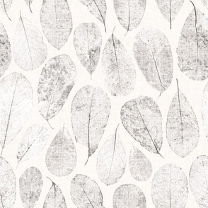 Dried Magnolia Leaves in greyscale with a hint of beige on off-white