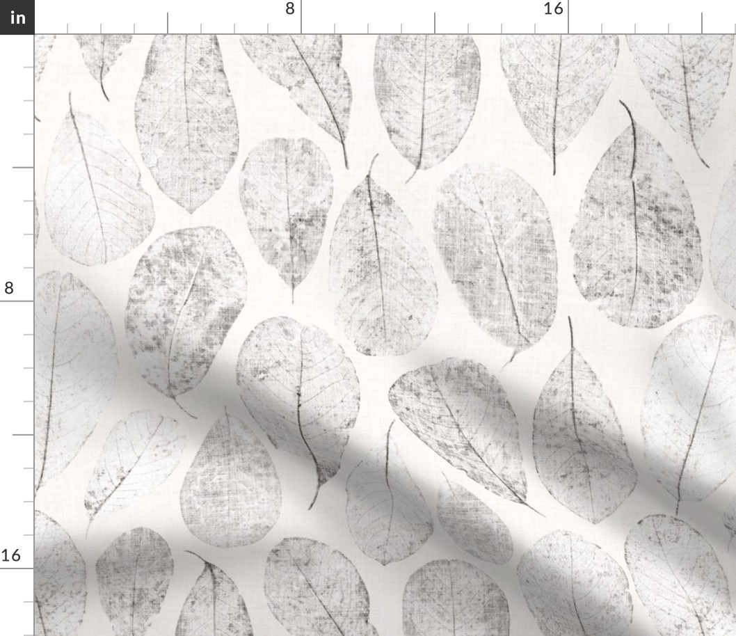 Dried Magnolia Leaves in greyscale with a hint of beige on off-white