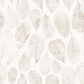 Dried Magnolia Leaves in grey beige on off-white
