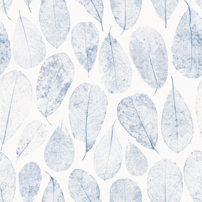 Dried Magnolia Leaves in light blue on off-white
