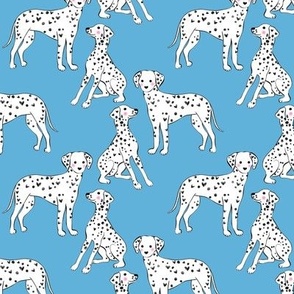 Cute Dalmatian on blue background, sweet dogs design
