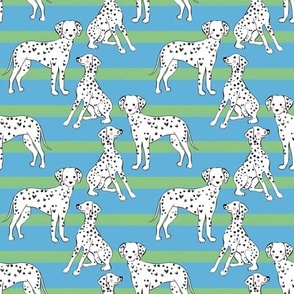 Cute Dalmatian on blue and green stripe background