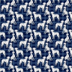 Dalmatian on navy blue checkered background
