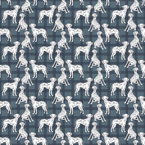 Cute Dalmatians on grey plaid background