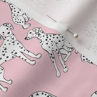 Cute dalmatians on pink background