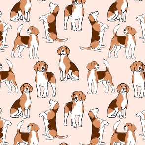 Beagle illustrations on blush background