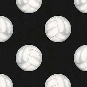 Watercolor Volleyball on Textured Black 12 inch