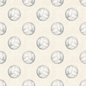 All-Star Volleyball on Textured Cream 6 inch