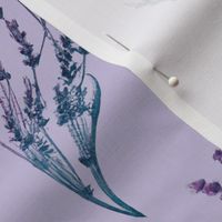 Purple Lavendar Pattern