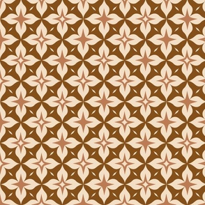 Moroccan Stars-Terra Cotta-M