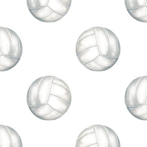 All-Star Volleyball on White 12 inch