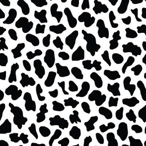Leopard spots pattern black and. white