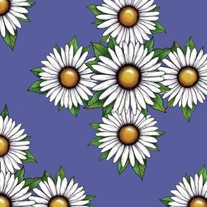 Lovely Daisies on blue background 