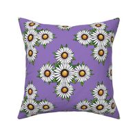 Lovely Daisies on lilac background 
