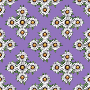 Lovely Daisies on lilac background 